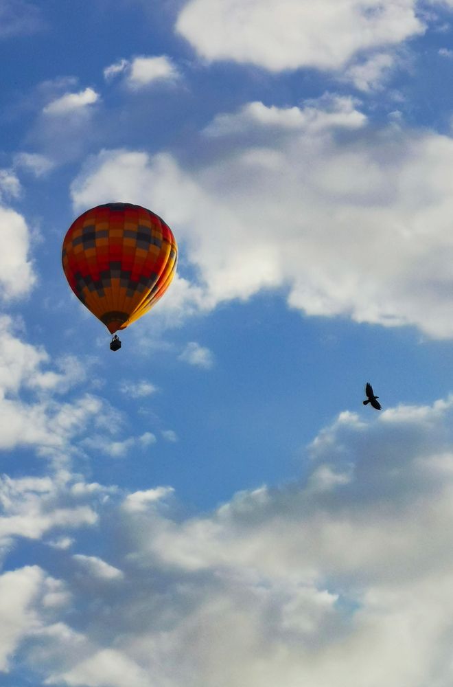 Фотография автора Дмитрий Гаврилов