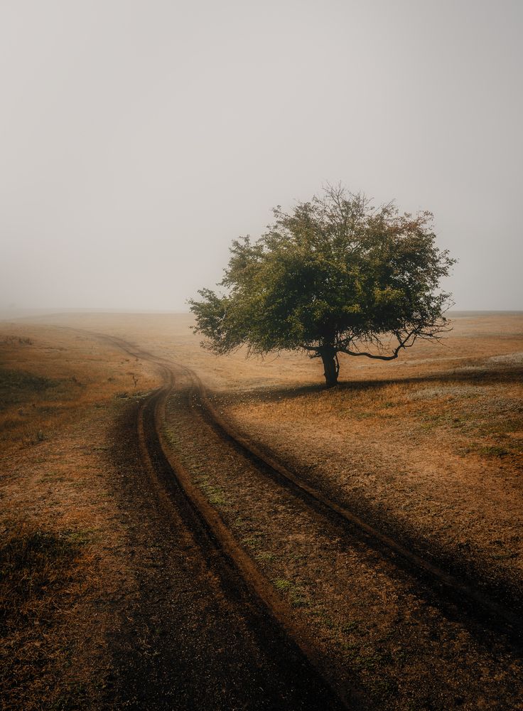 Photograph by Сухенко Олег