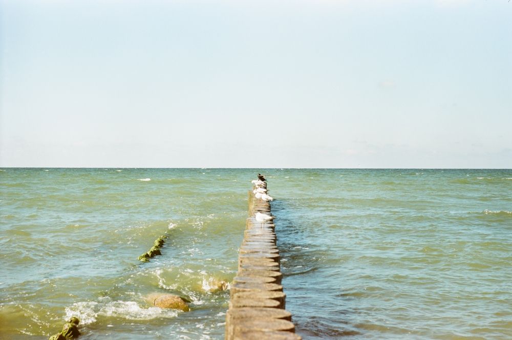 Photograph by Ольга Шевцова