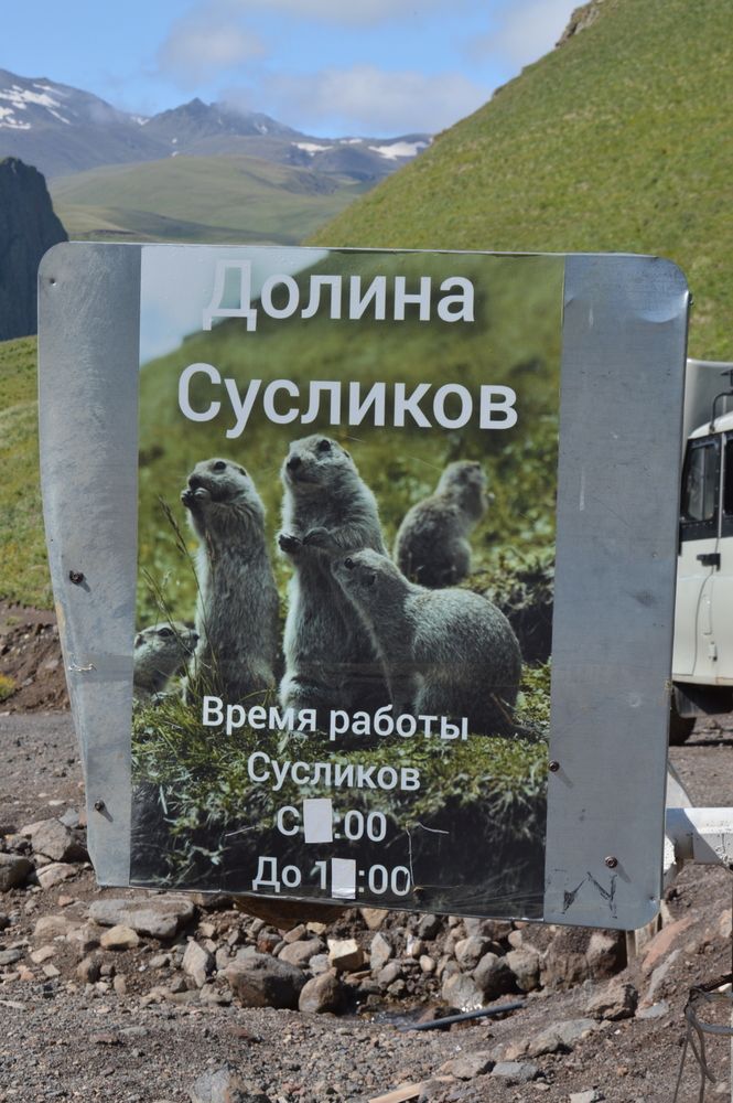 Photograph by Ольга Шевцова