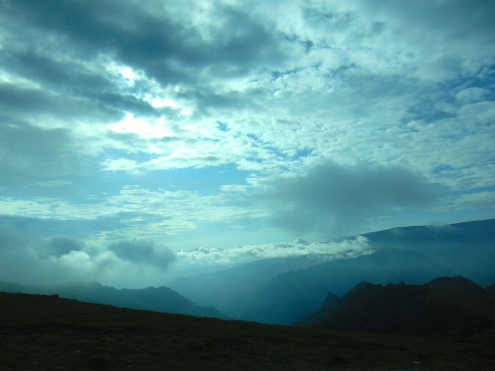 Photograph by Ольга Шевцова