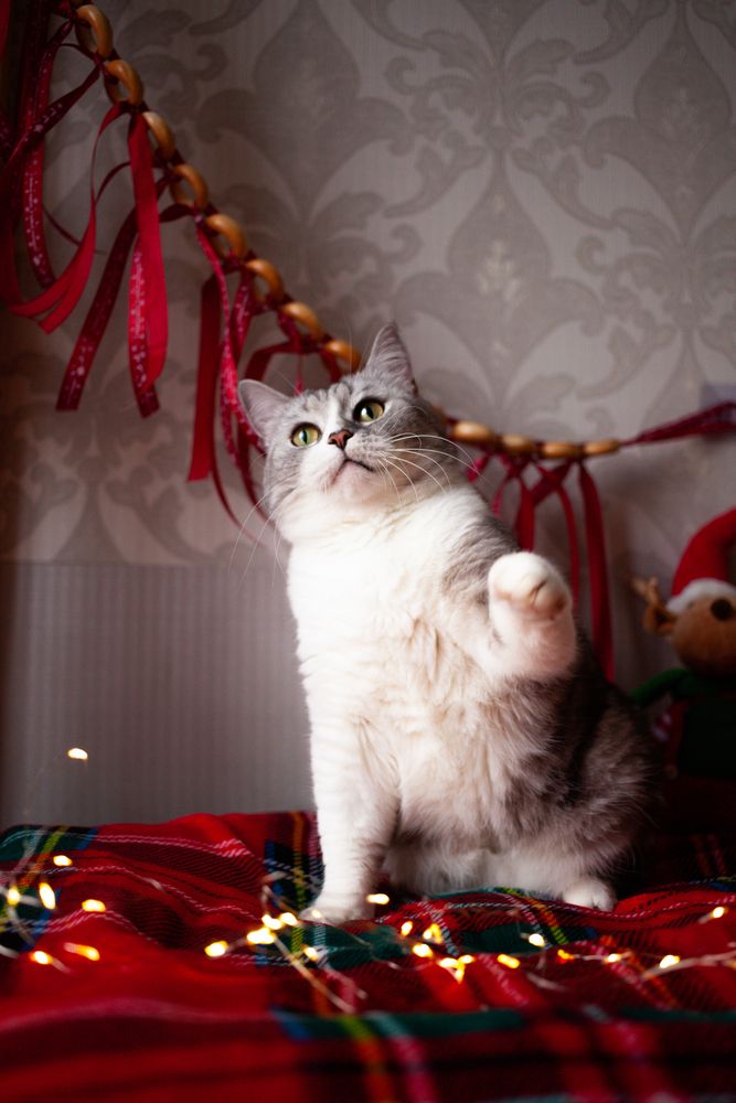 Photograph by Алина Перескокова