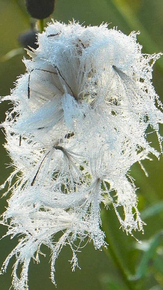 Photograph by Михаил Трусов