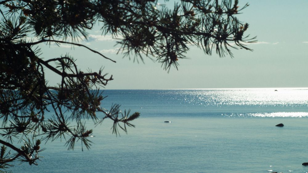 Фотография автора Надежда Надежда