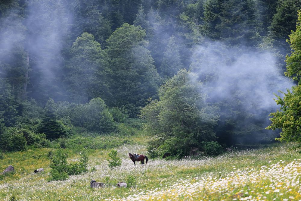 Photograph by Анна Теплицкая
