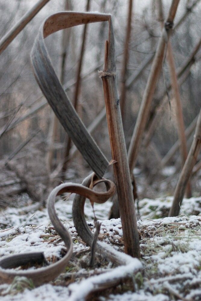 Фотография автора Сергей Виноградов