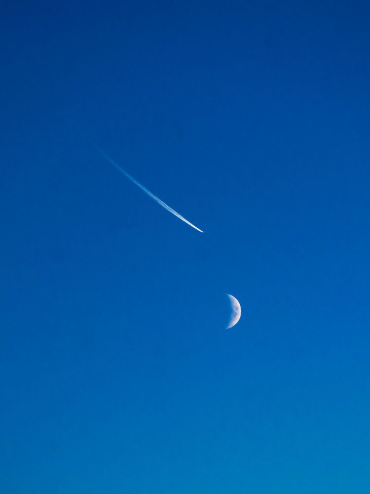 Photograph by Ольга Заповедная