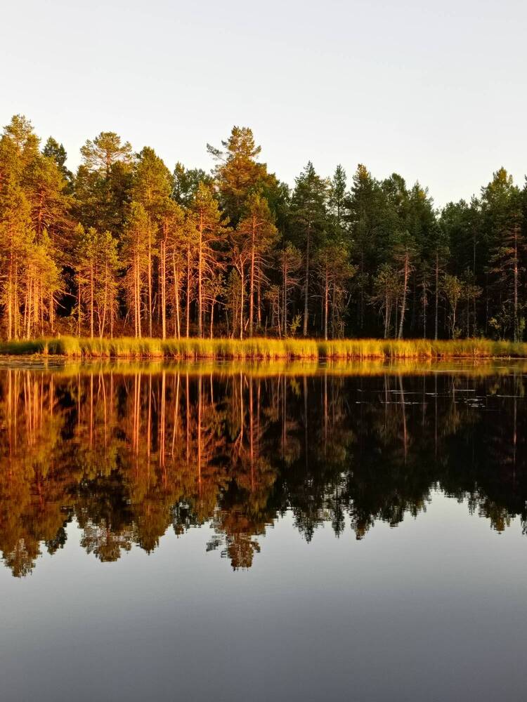 Photograph by Ольга Волкова