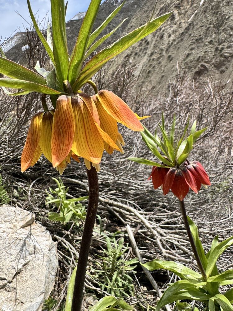 Photograph by Ramazan Gedikoğlu