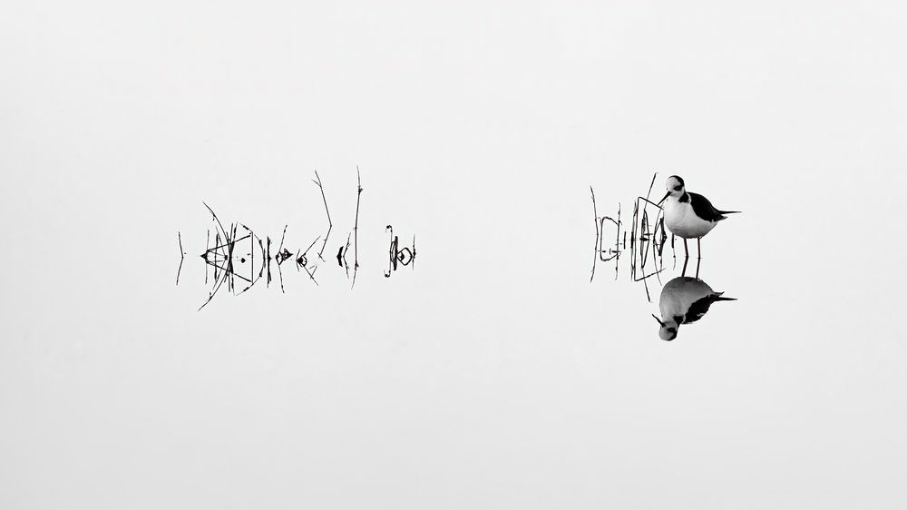 Photograph by Valdir Hobus