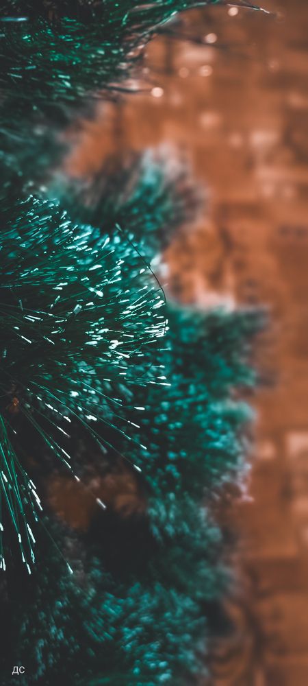 Photograph by Denis Sumin