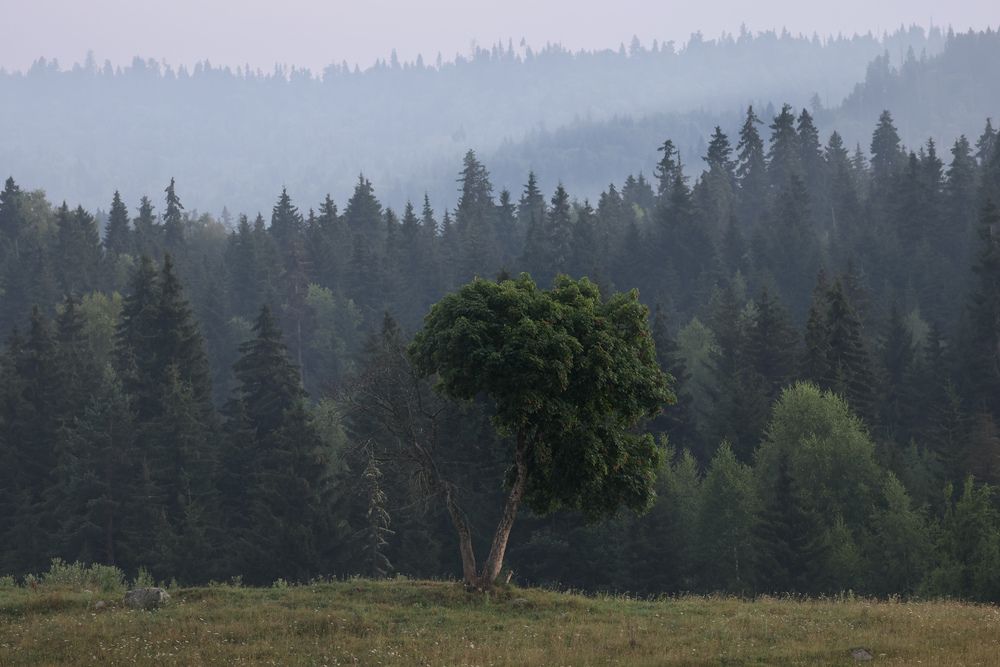 Photograph by Анна Теплицкая