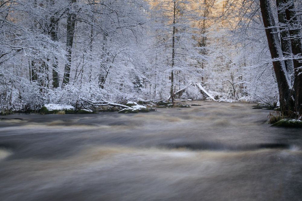 Река Рощинка в Линдуловской роще
