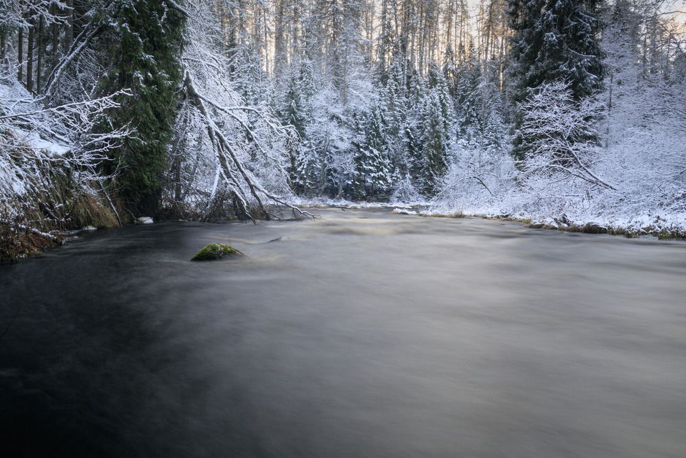 Река Рощинка в Линдуловской роще