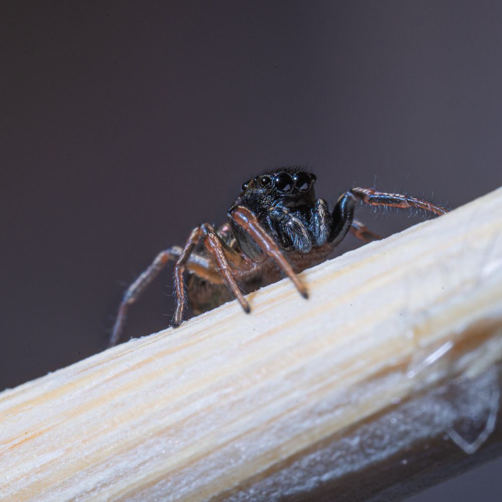 Photograph by Евгений Кириллов