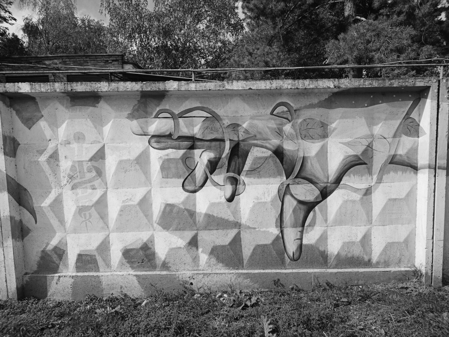 Photo #12957035