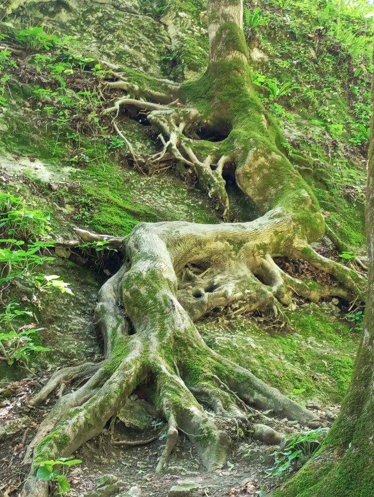 Photograph by Савина Анастасия Николаевна