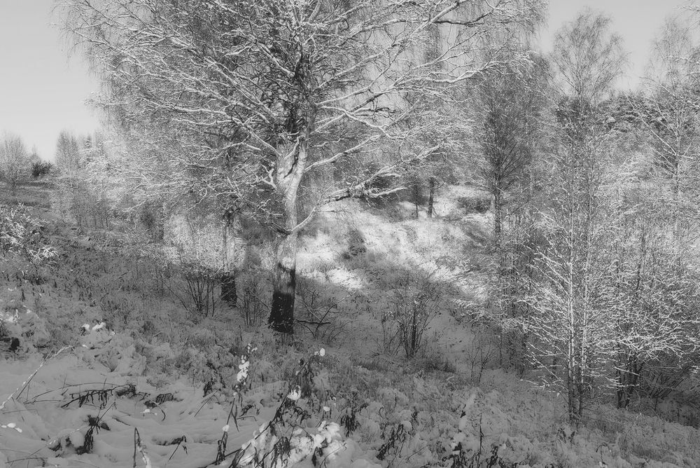 Photograph by Cергей Черныш