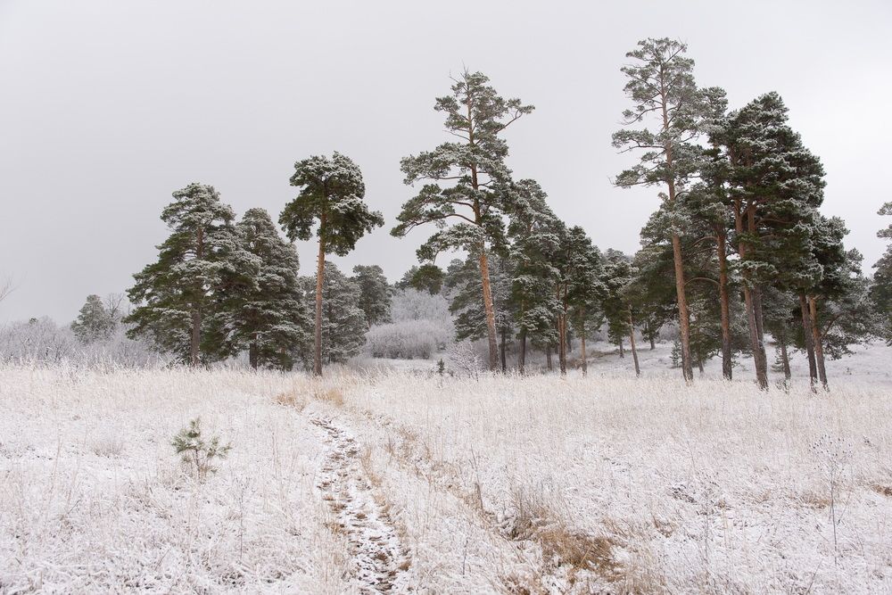 Photograph by Arkhipov