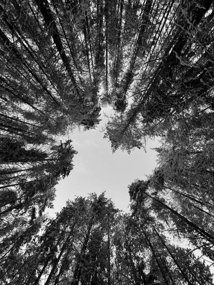 Photograph by Светлана Галкина