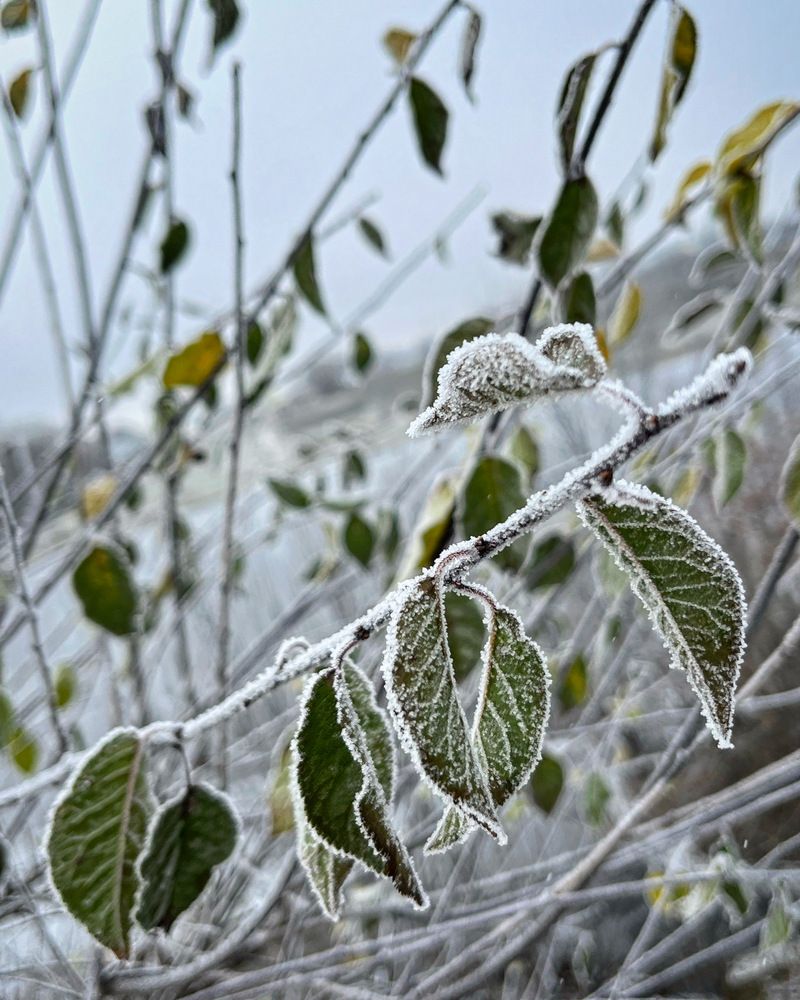 Photograph by Ольга Миронова