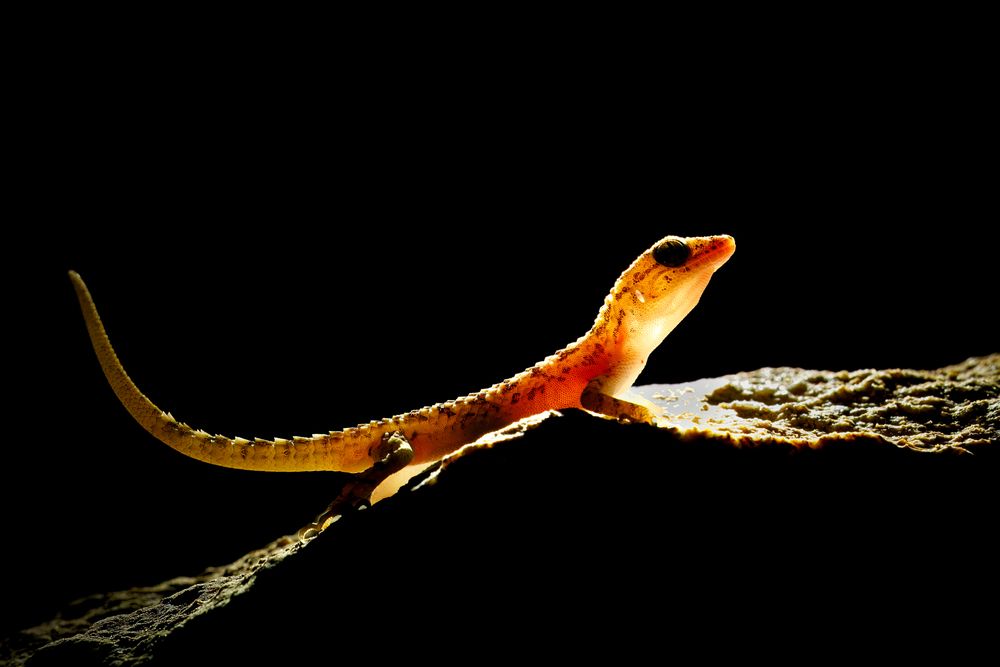 Photograph by Sachendra Yadav