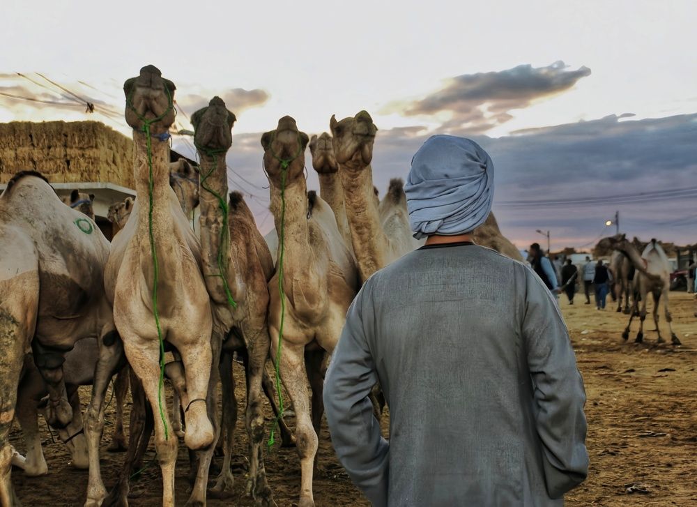 Photograph by Yasmin Elsharma