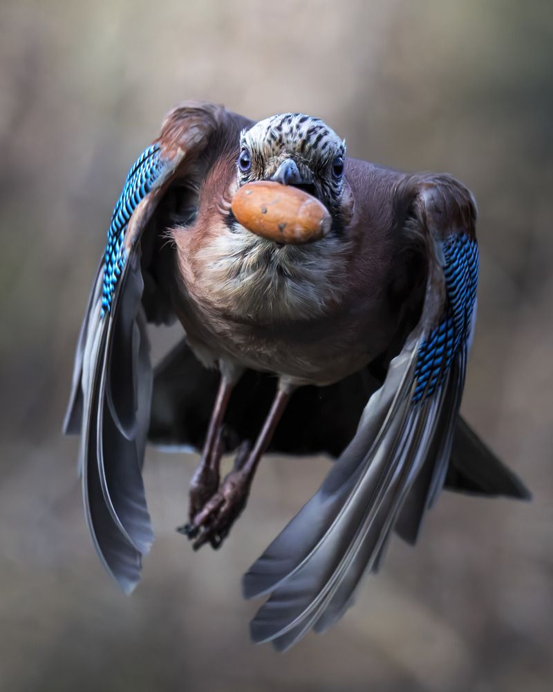 Photograph by Поляков Михаил