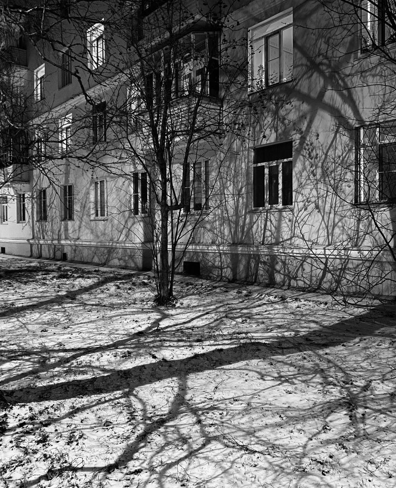 Photograph by Наталья Тарабычина