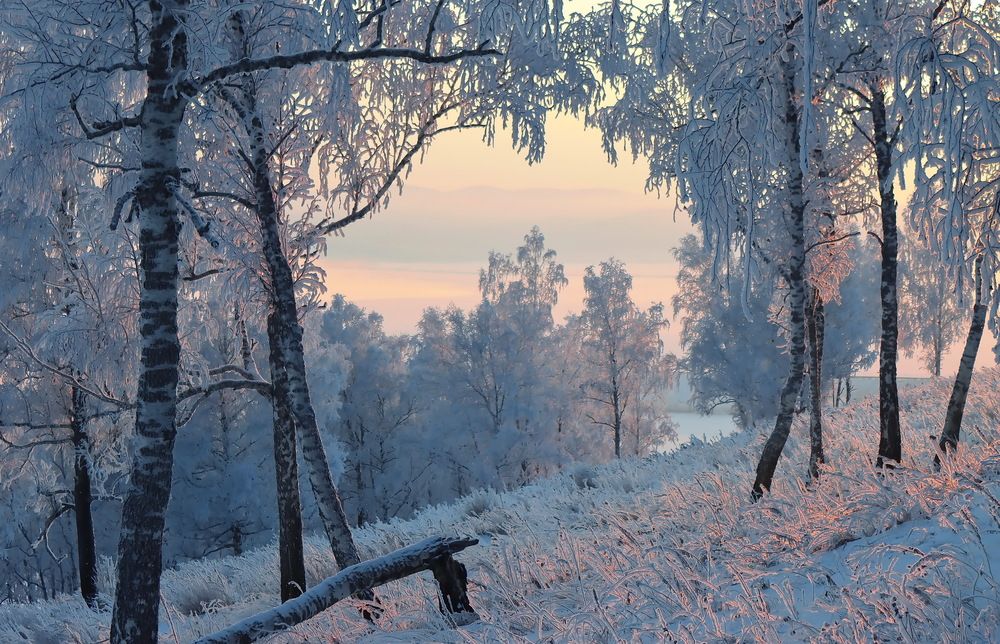 Photograph by Наталья Юрова