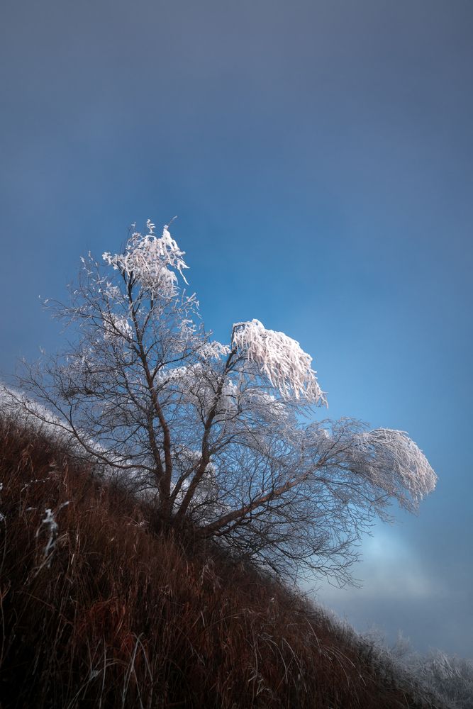 Photograph by Александр Левин