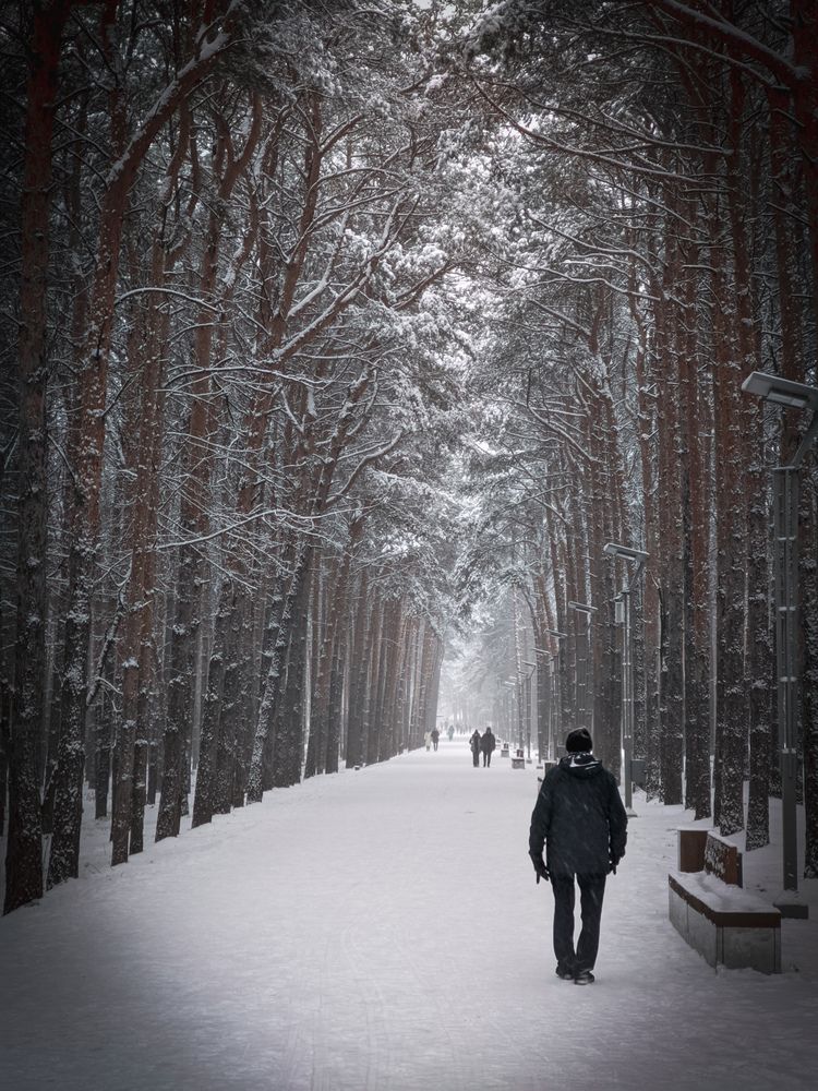 Photograph by Олега Тор