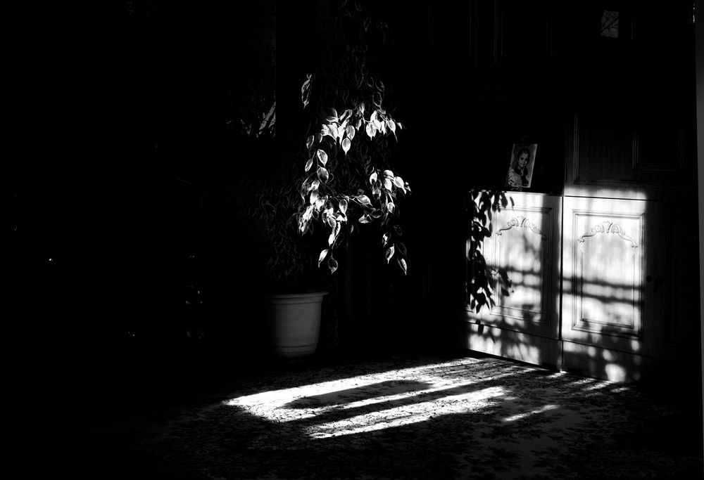 Photograph by Елена