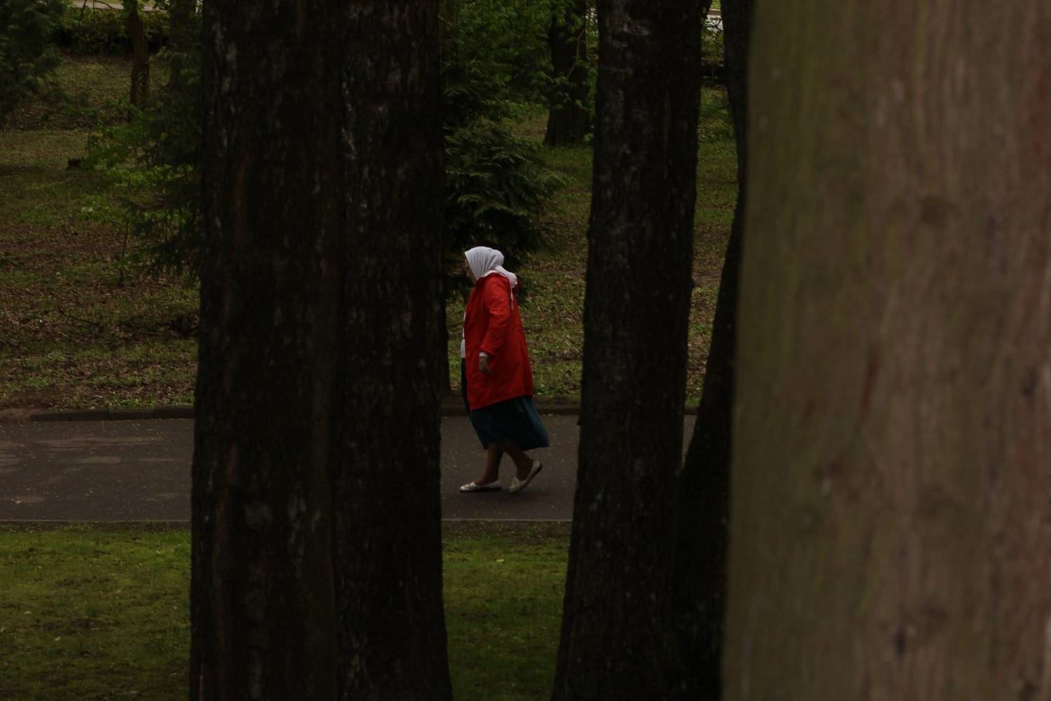 Photo #12957685