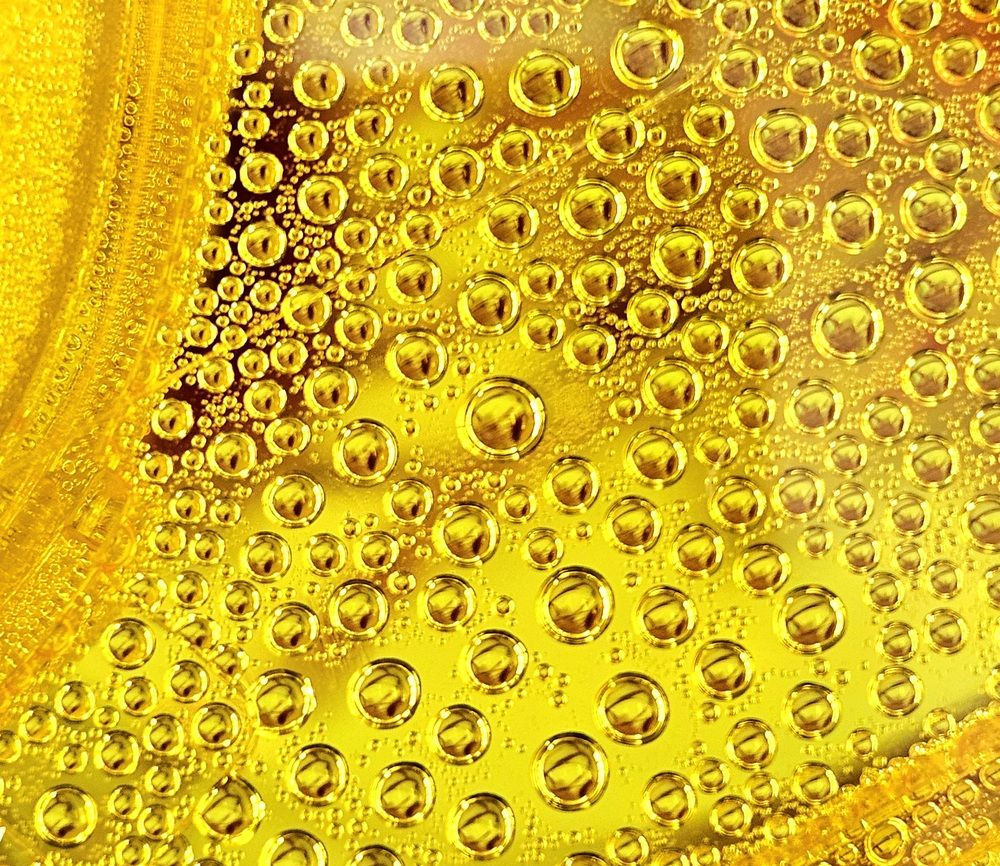 Фотография автора Elena Polonetskaya