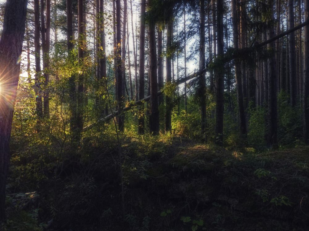 Photograph by Валерий Алфимов