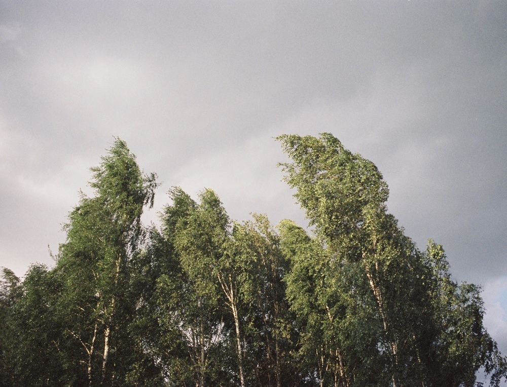 Photograph by Петр Чернецов