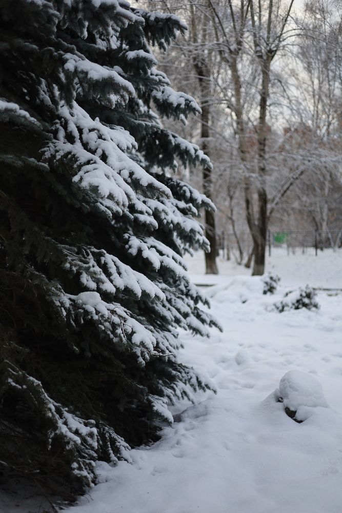 Photograph by Юля Базылева