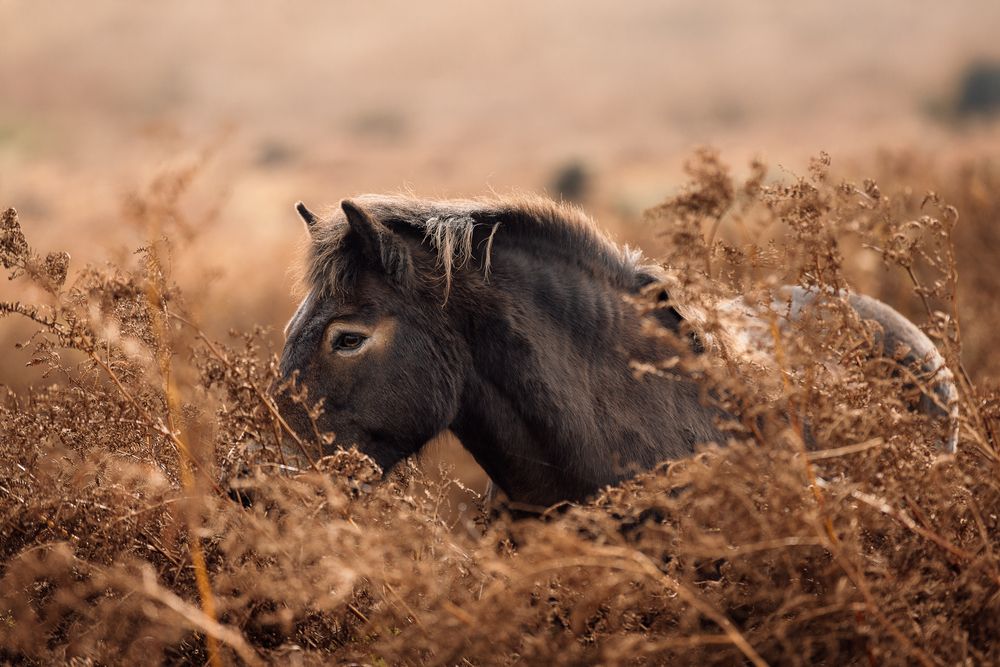 Photograph by Fabienne Gassmann