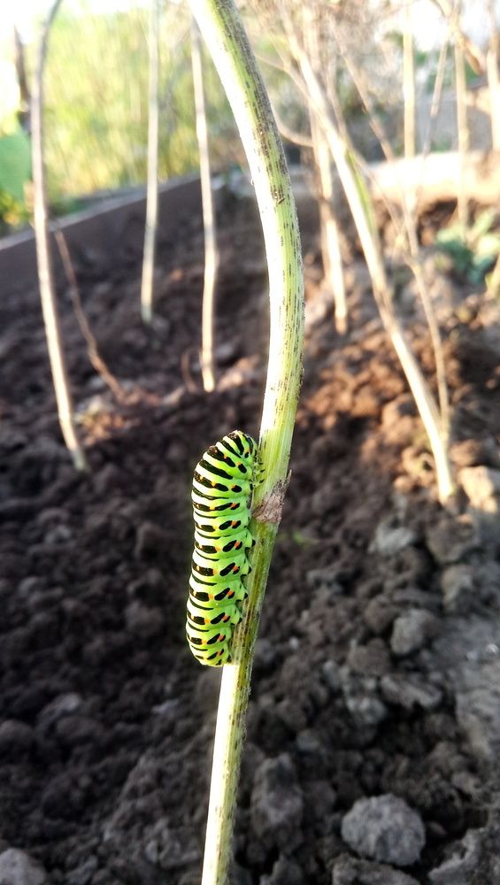 Photograph by Елена Поспелова