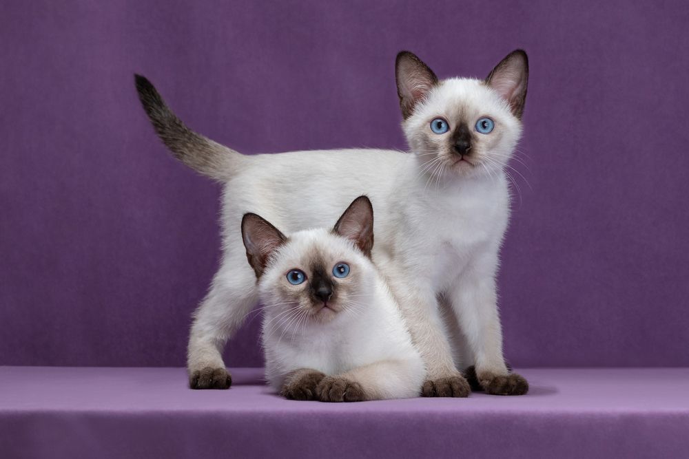 Photograph by Евгений Просвирнин