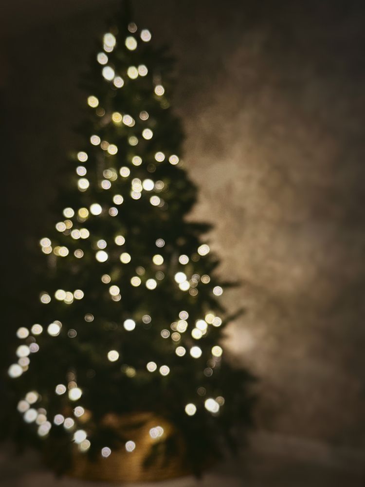 Фотография автора Елена Поживилко