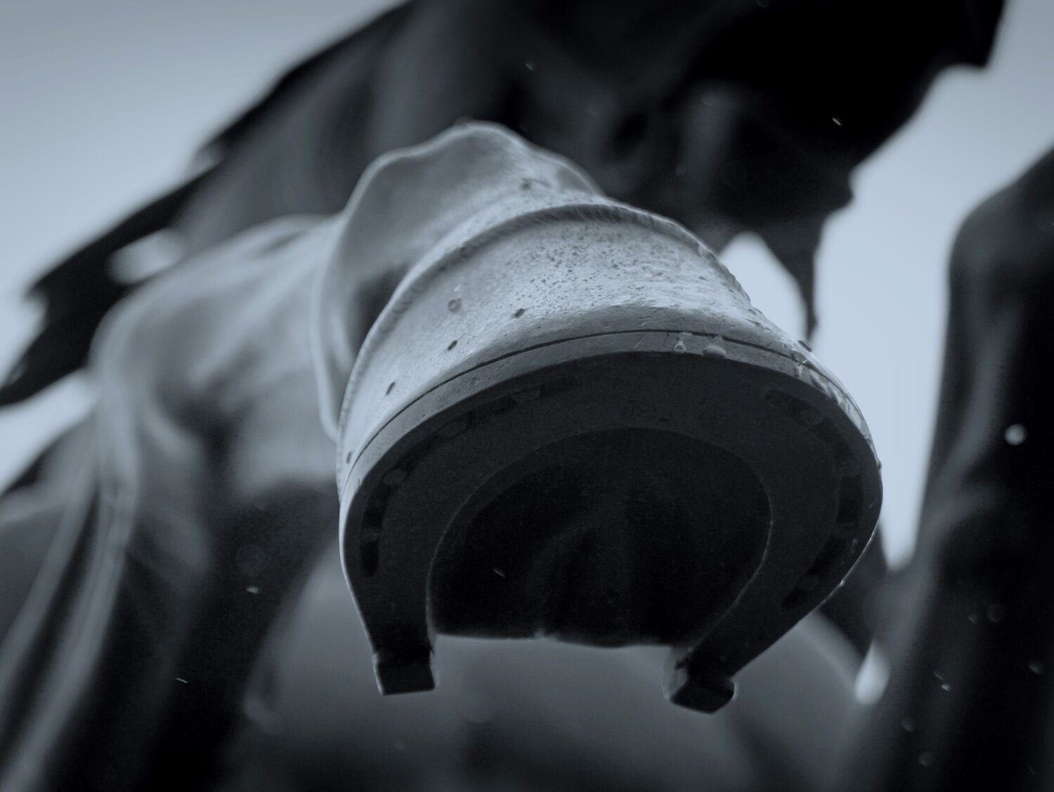 Photo #12958204
