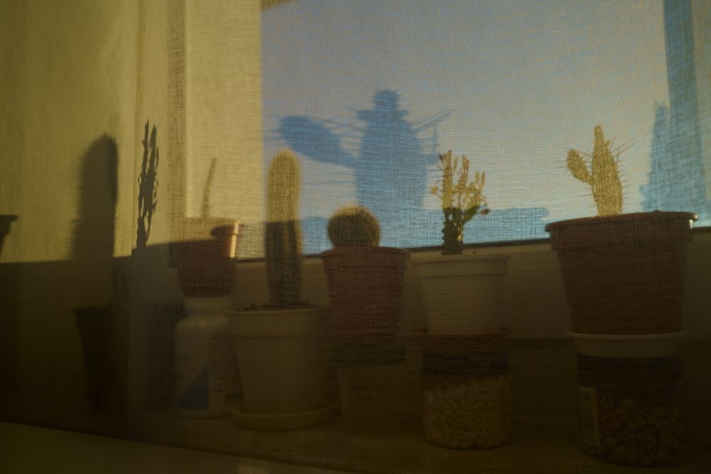 Фотография автора Sergej Roor