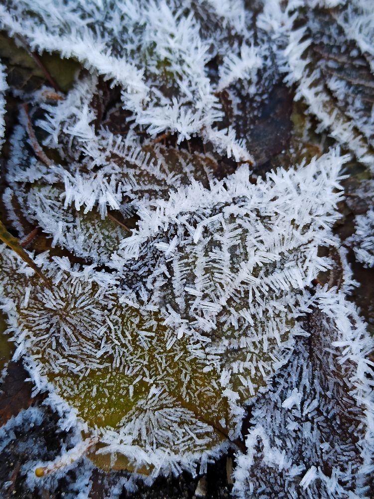 Photograph by Игорь Максимов