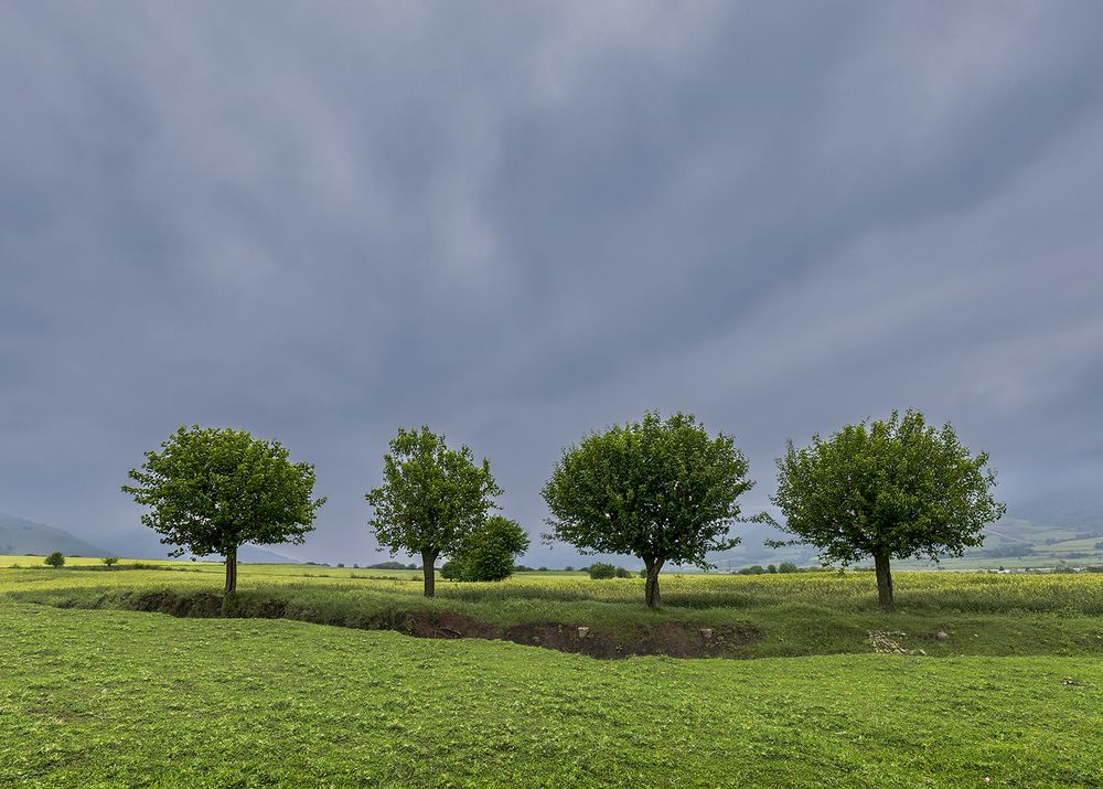 Photograph by Hengameh pirooz