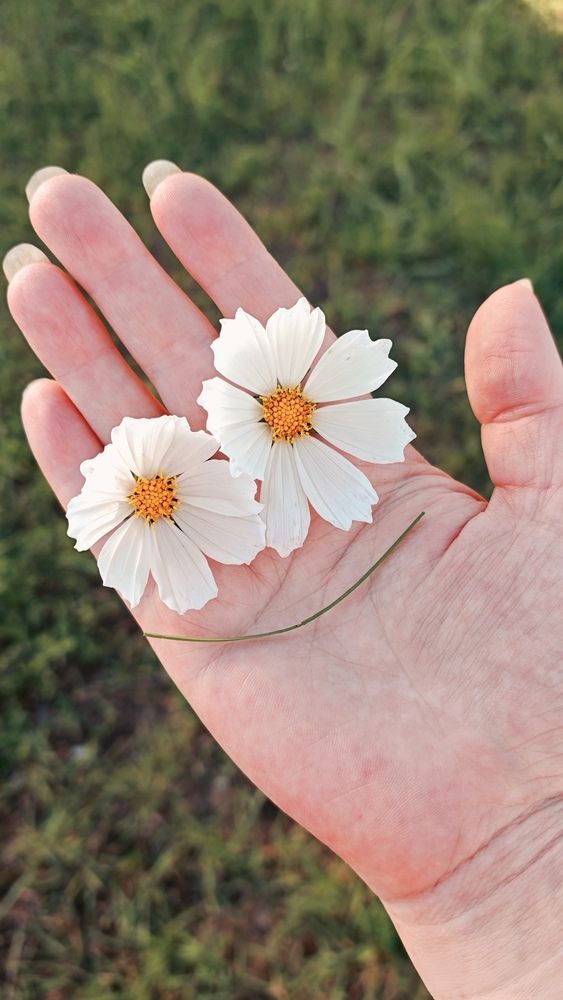 Photograph by Ольга Романова