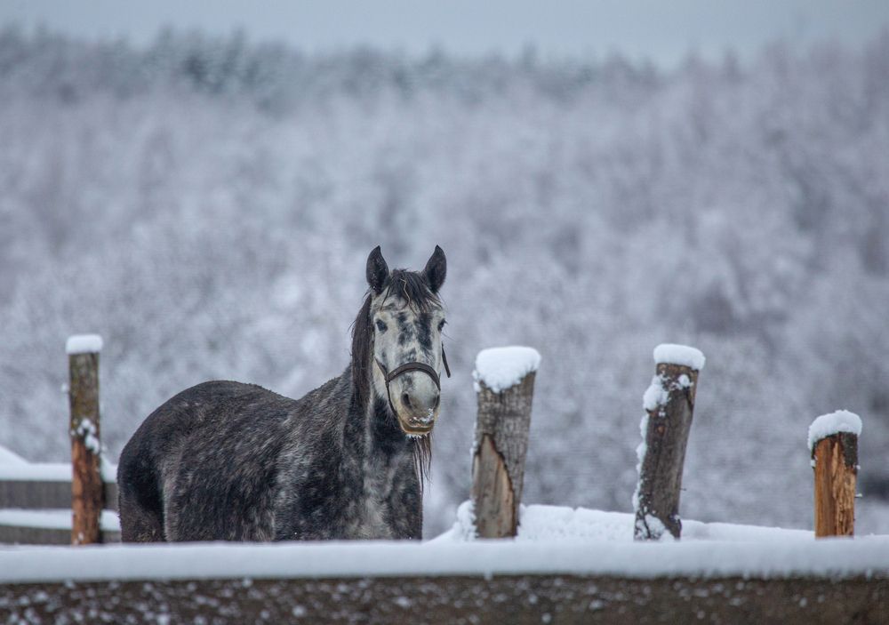 Photograph by Елена Васильева