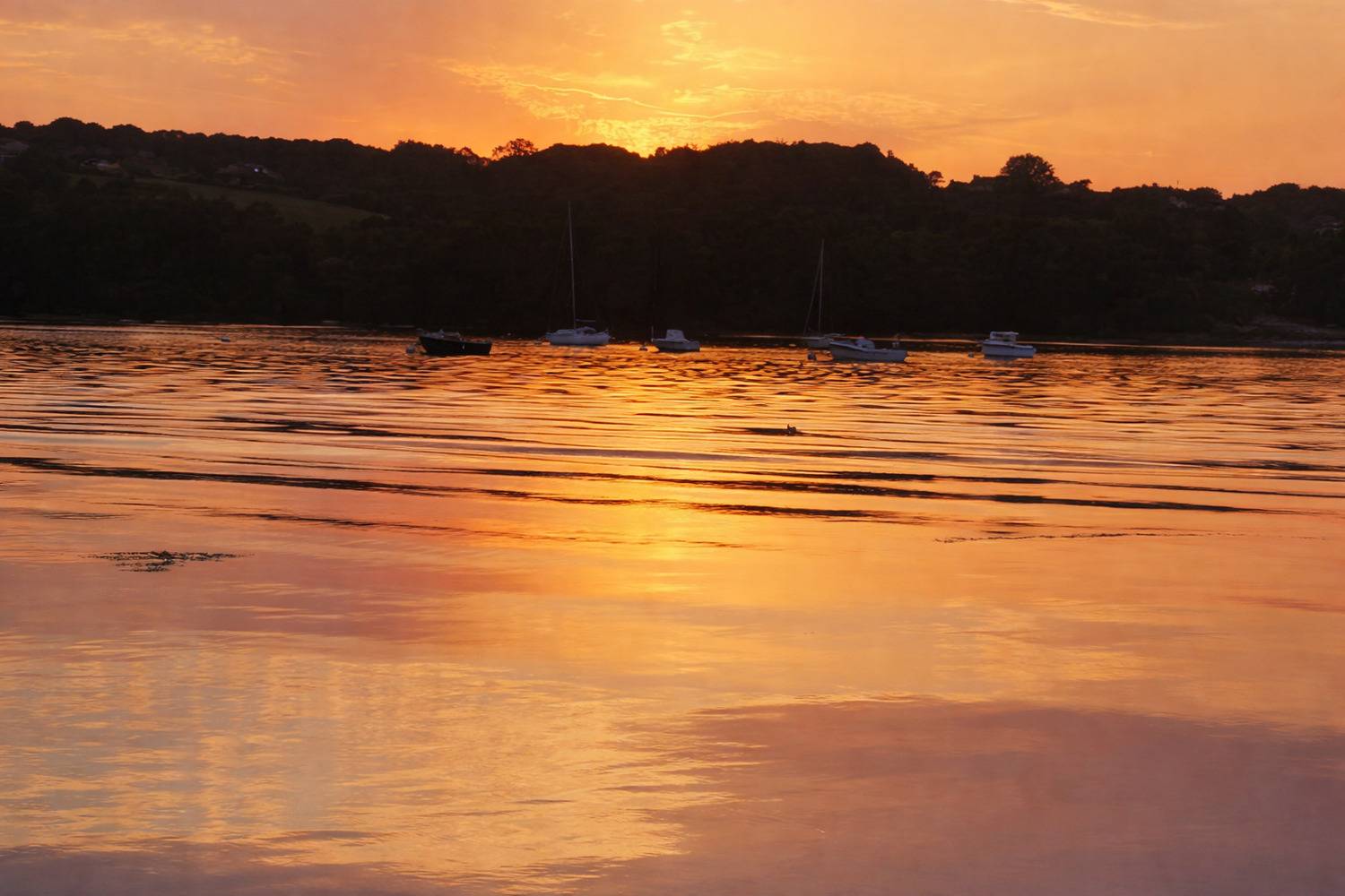 Clin d\\\'oeil du soleil nocturne