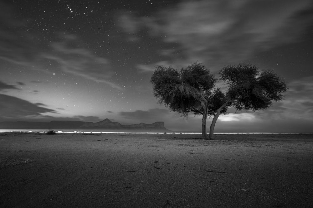 Фотография автора Talal Abodeshish